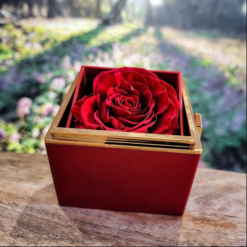 ShineOn Fulfillment Jewelry White Gold Finish / Standard Box Love Knot Necklace & Everlasting Rose Box - Emotional Mother's Gift from Daughter